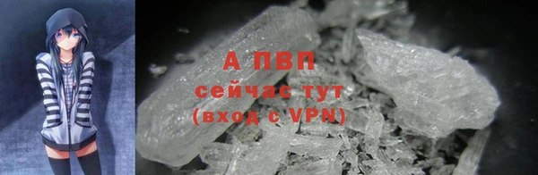 тгк Абаза
