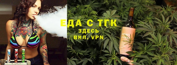 тгк Абаза