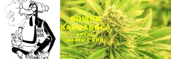 ПСИЛОЦИБИНОВЫЕ ГРИБЫ Приозерск