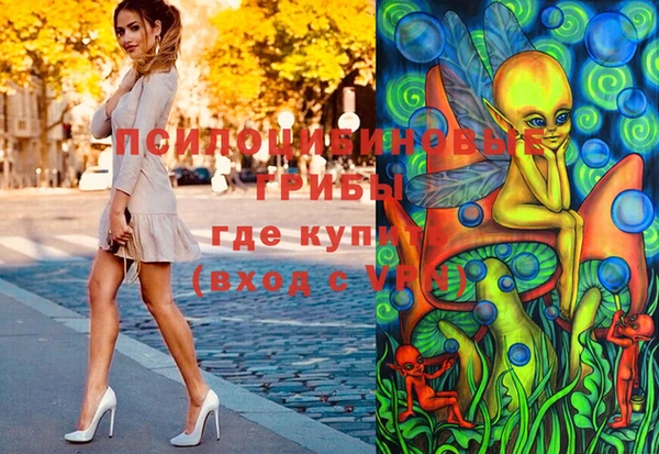 сатива Пролетарск